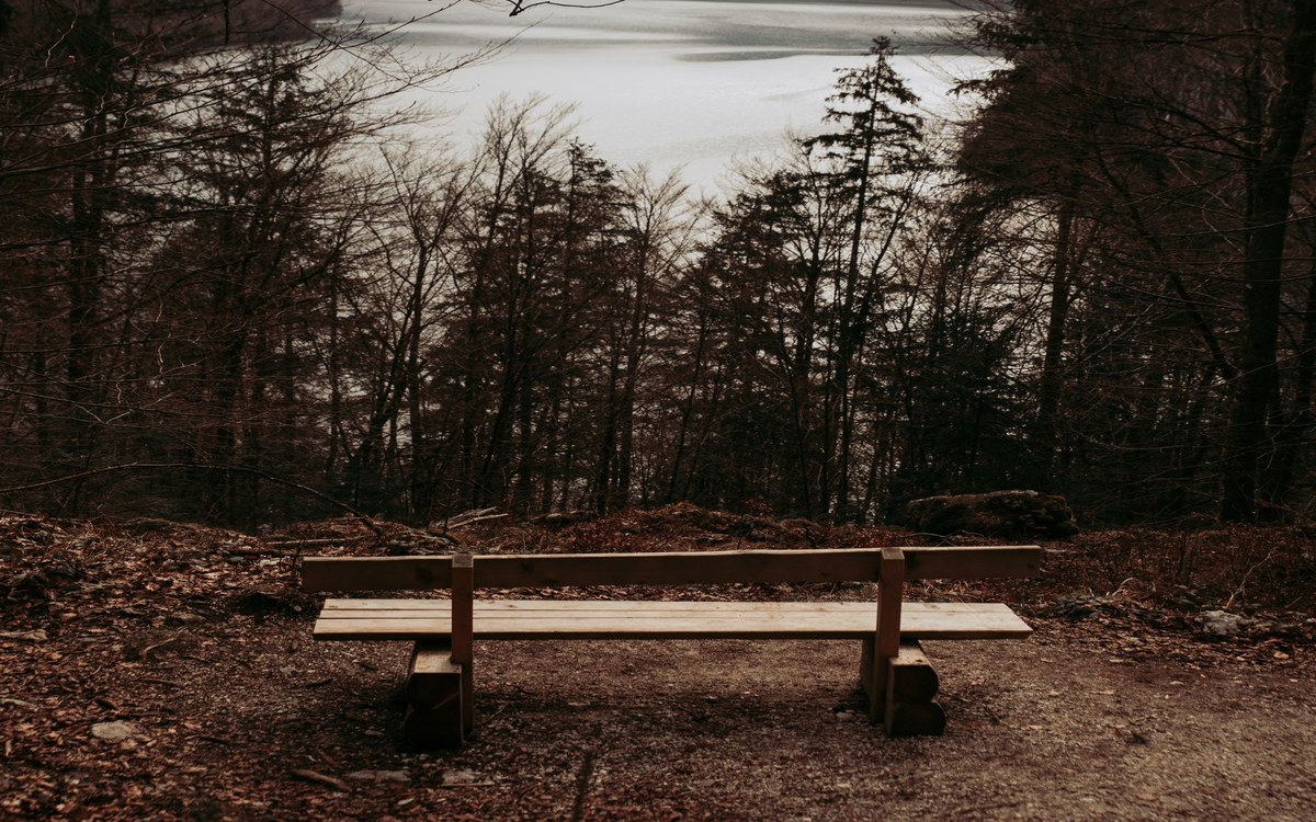 Empty wooden bench overlooking a peaceful lake and mountains